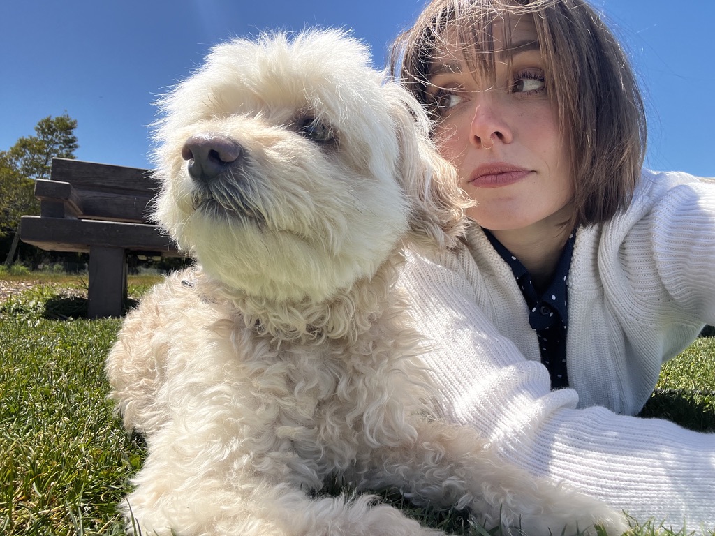 Crickett the curly-coated dog laying in the grass mid-session